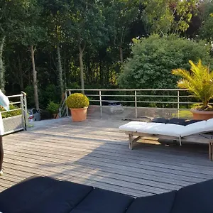 La Canopee Des Pins Cléder
